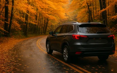 Revisión del coche en septiembre